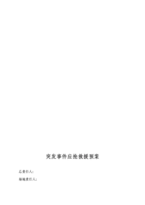 大型活动安保专项方案模板.docx