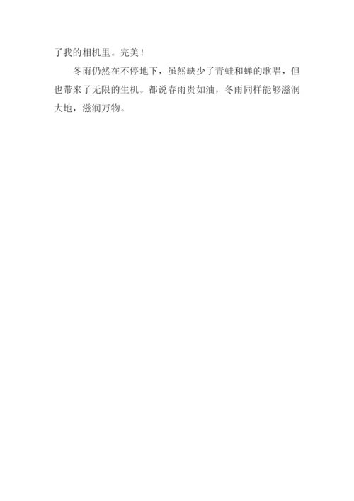 冬雨作文600字-10.docx