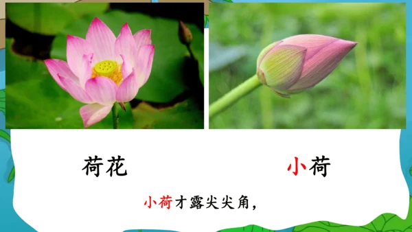 部编版语文一年级下册课文4 11古诗二首 小池 课件