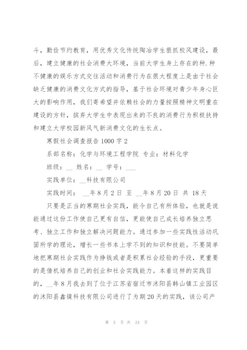 寒假社会调查报告1000字以上5篇.docx