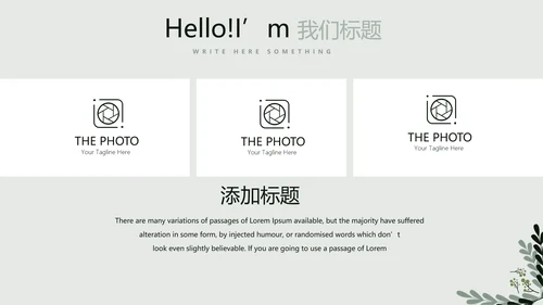 文艺小清新公司产品介绍宣传通用PPT动态模板
