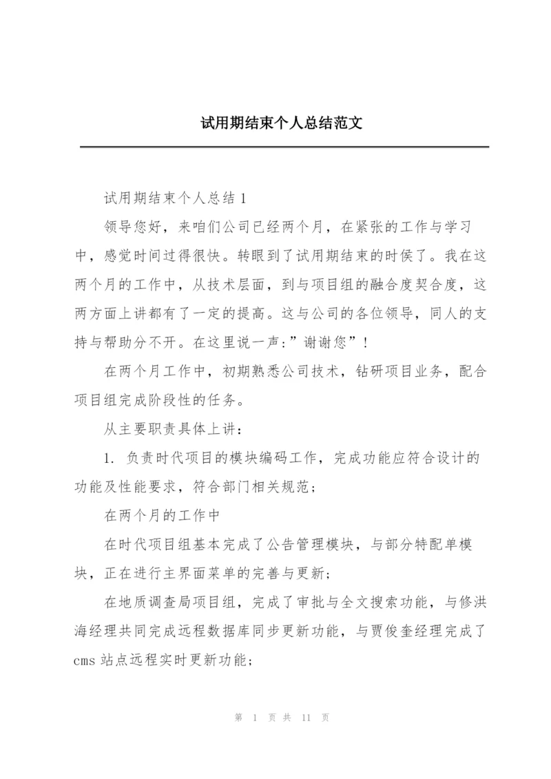 试用期结束个人总结范文.docx