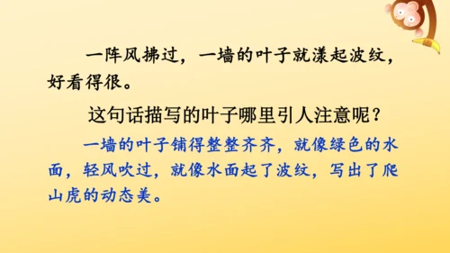 10 爬山虎的脚   课件