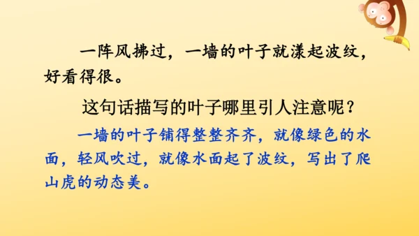 10 爬山虎的脚   课件
