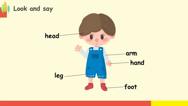 Module 10 Unit 1 This is his head  课件(共32张PPT)