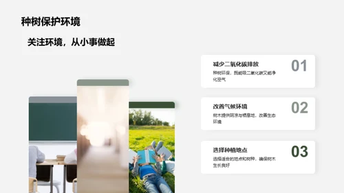 我们一起种树