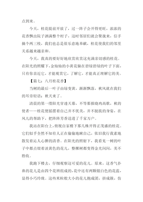 八月桂花香作文500字.docx