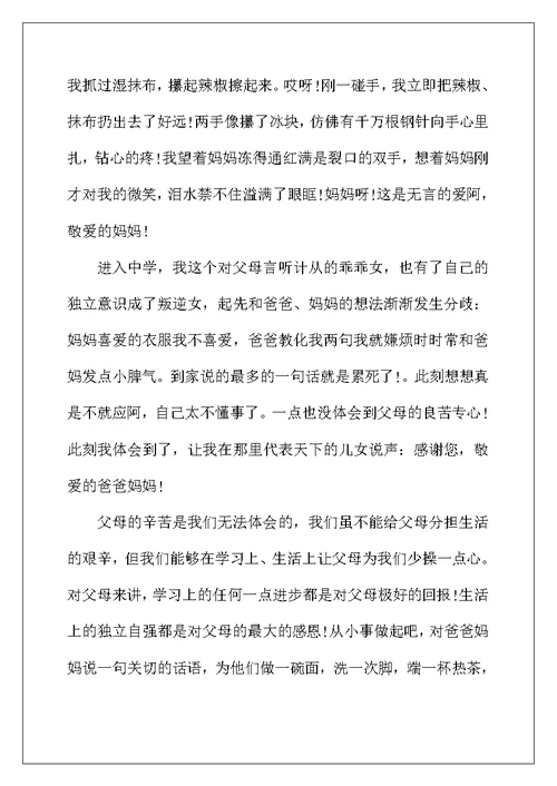 2022年父亲节国旗下演讲稿五篇