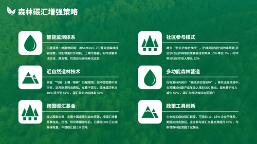 绿色清新森林生态环境保护调研汇报PPT模板