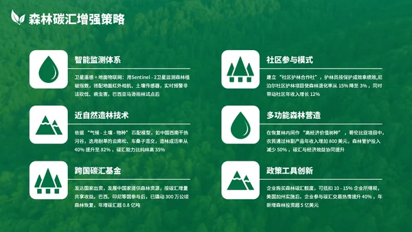 绿色清新森林生态环境保护调研汇报PPT模板