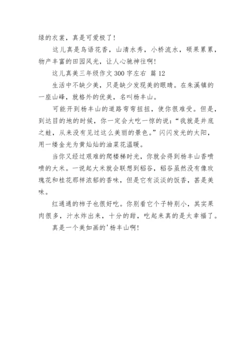 这儿真美三年级作文300字左右（精选13篇）.docx