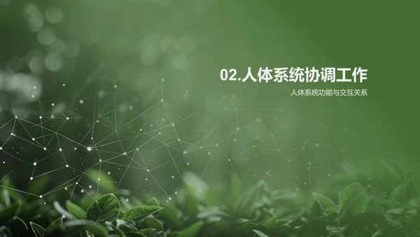 人体系统协作讲座PPT模板