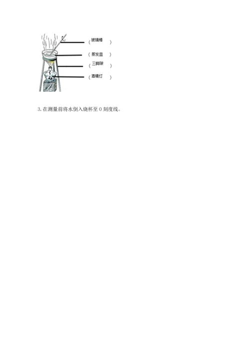 教科版三年级上册科学《期末测试卷》精品（完整版）.docx