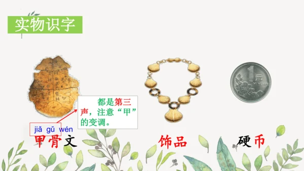 识字3 贝的故事（第一课时）课件