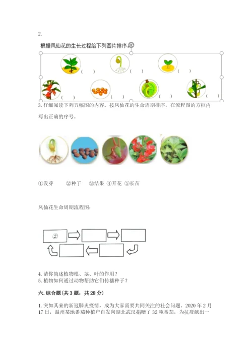 教科版四年级下册科学第一单元《植物的生长变化》测试卷（基础题）.docx