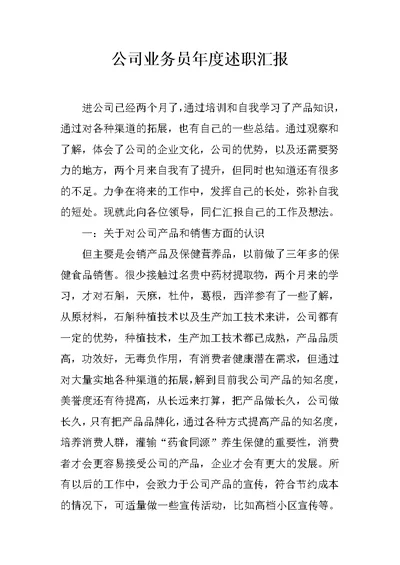 公司业务员年度述职汇报