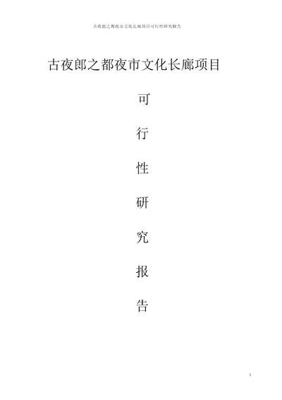 古夜郎之都夜市文化长廊项目可行性分析报告项目可行性分析报告