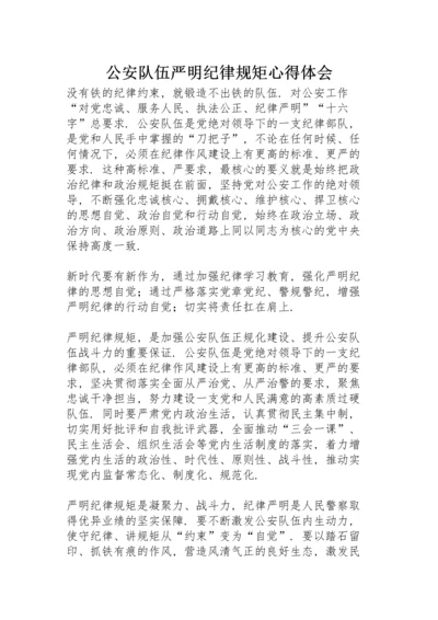 公安队伍严明纪律规矩心得体会.docx