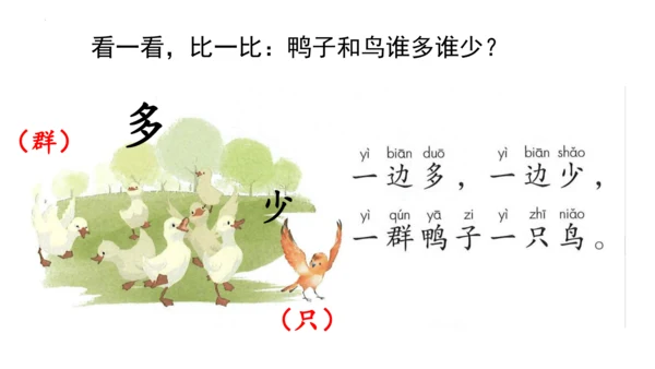 7《大小多少》第二课时（课件）