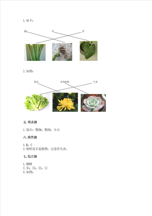 教科版科学一年级上册第一单元植物测试卷附参考答案综合卷