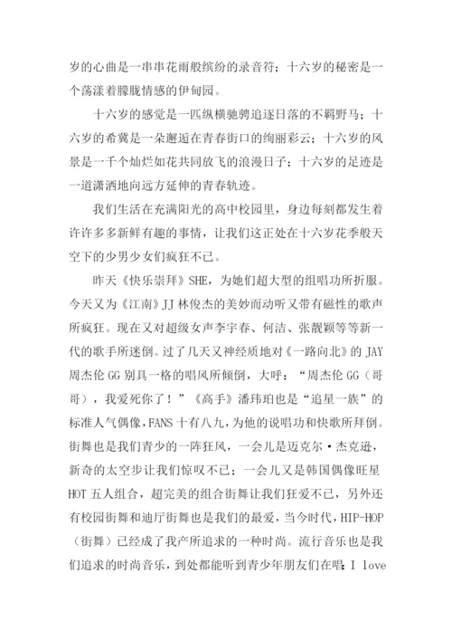 十六岁的天空作文.docx