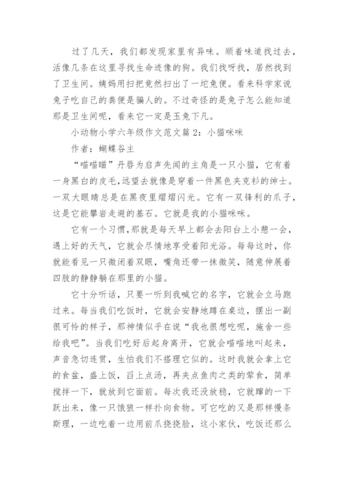 小动物小学六年级作文范文.docx