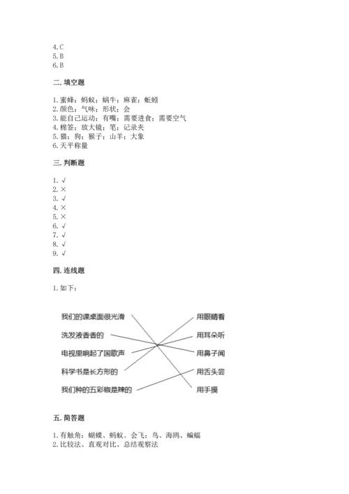 教科版一年级下册科学期末测试卷及完整答案（夺冠系列）.docx