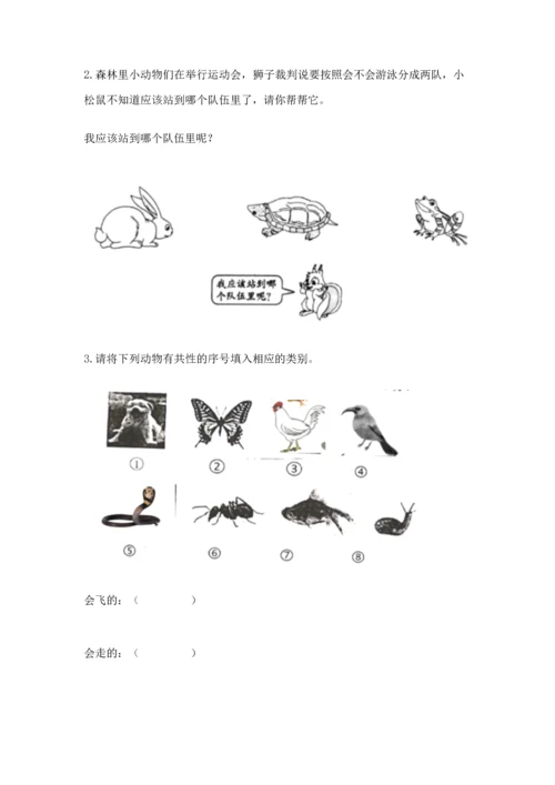 教科版一年级下册科学期末测试卷含完整答案【全优】.docx