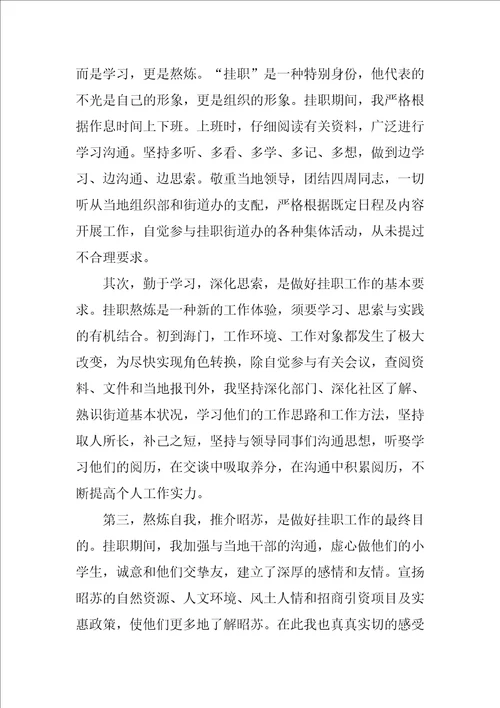农村个人挂职工作总结优秀9篇