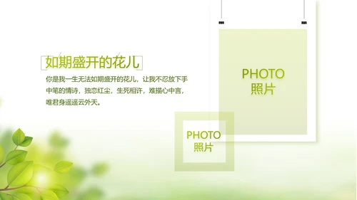 绿色文艺致青春毕业季大学毕业纪念册相册PPT
