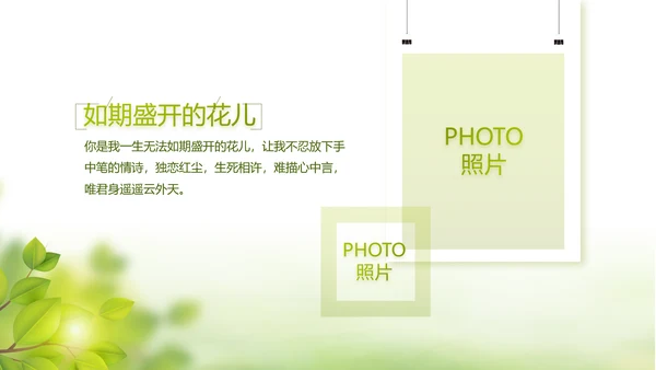 绿色文艺致青春毕业季大学毕业纪念册相册PPT