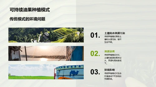 绿色未来：油果种植新篇章