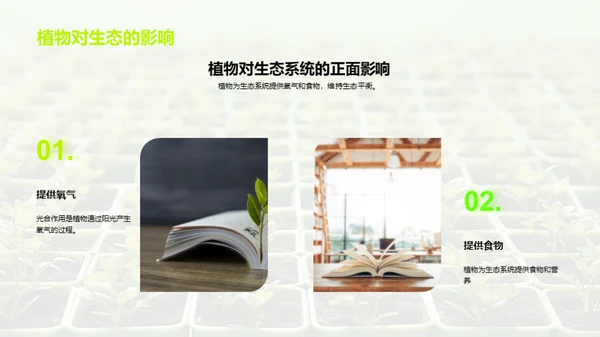 植物的奥秘世界