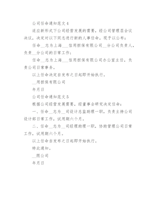 公司任命通知范文.docx