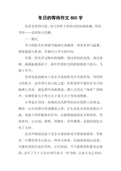 冬日的等待作文800字.docx