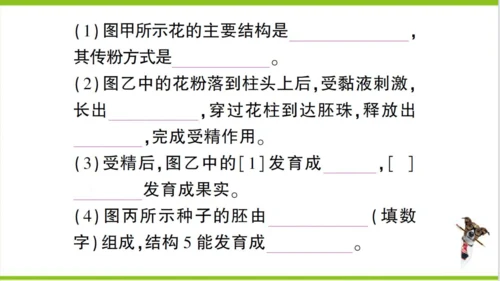 【掌控课堂-创优作业】人教版生物七(上)第三单元 第一、二章总结训练 (课件版)
