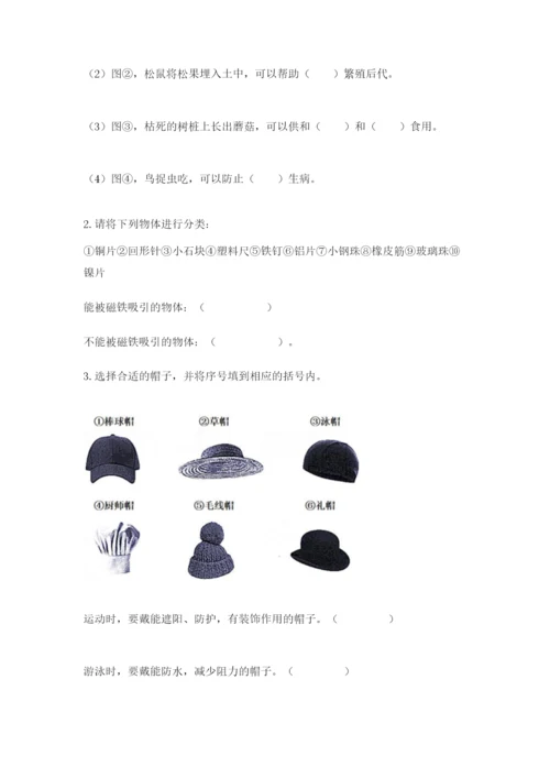 教科版二年级上册科学期末测试卷含完整答案（典优）.docx