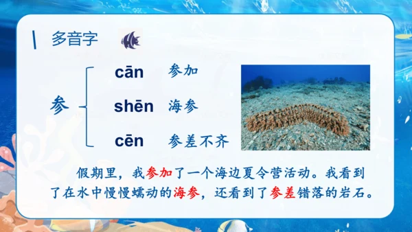 第18课《富饶的西沙群岛》课件