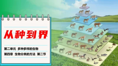 人教版生物七年级上册2.4.2《从种到界》（教学课件）(共16张PPT)