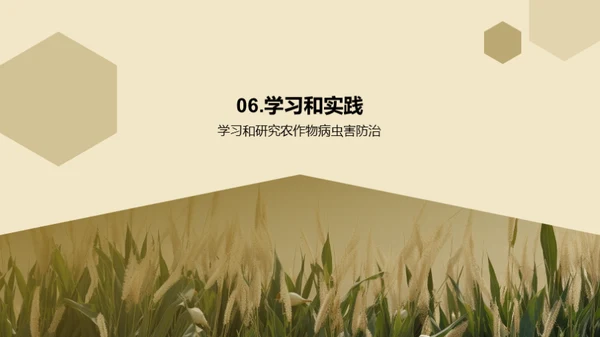 3D风教育培训教学课件PPT模板