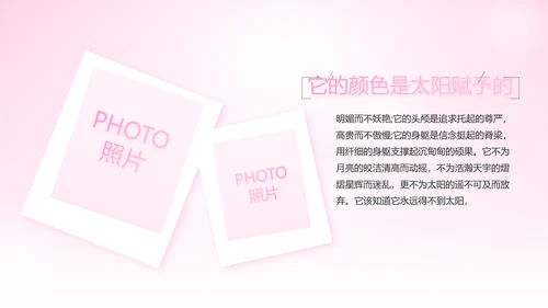 粉色向逆行者致敬白衣天使关爱计划动态PPT模板