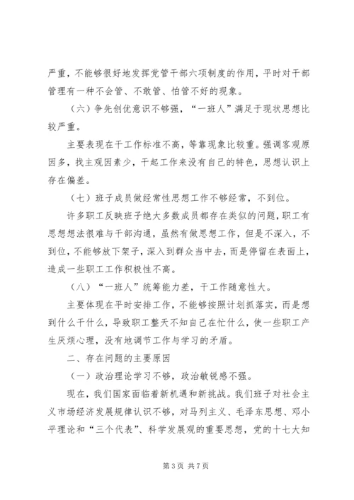 公司班子成员民主生活会剖析材料.docx