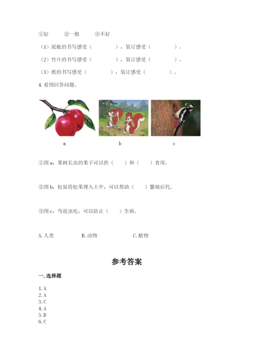 教科版科学二年级上册期末测试卷【综合卷】.docx