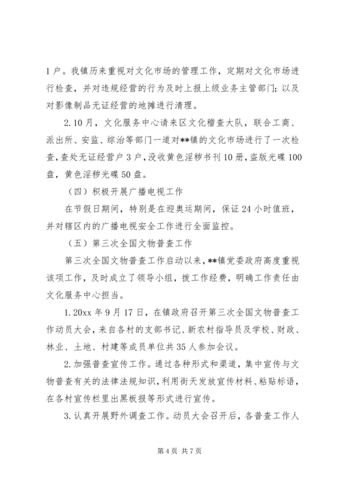 乡镇文化服中心工作总结.docx