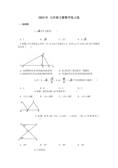 2023年七年级下册数学练习卷