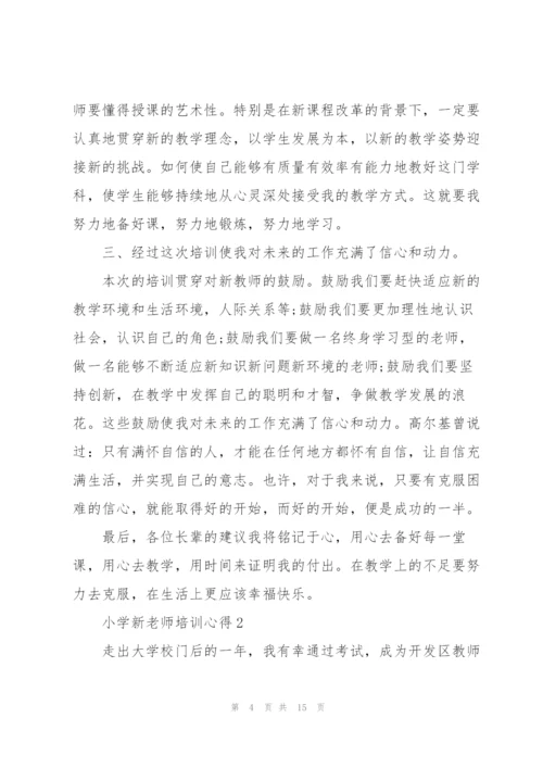 小学新老师培训心得.docx