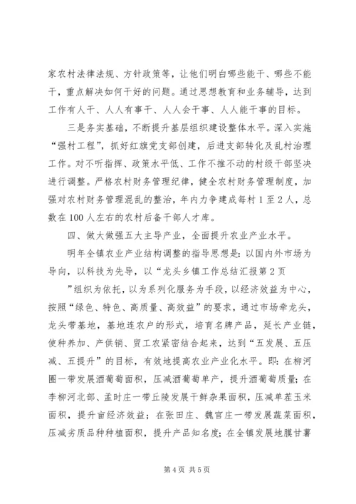 乡镇工作总结汇报.docx