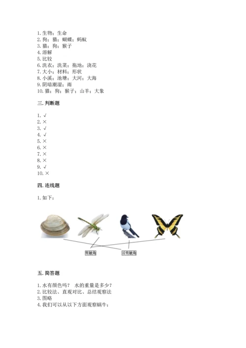教科版一年级下册科学期末测试卷及参考答案（培优a卷）.docx