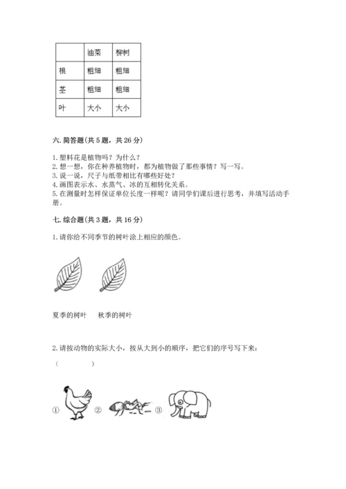 教科版小学一年级上册科学期末测试卷及参考答案（轻巧夺冠）.docx