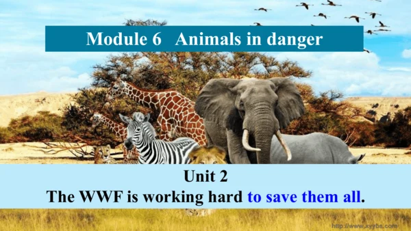 Module 6 Unit 2 The WWF is working hard to save th